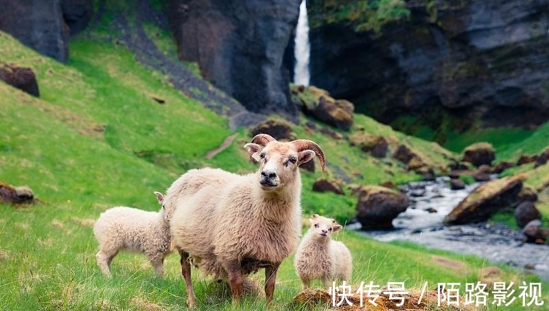 生肖|生肖属羊人，9月起财运当头，千万钞票滚滚发不停