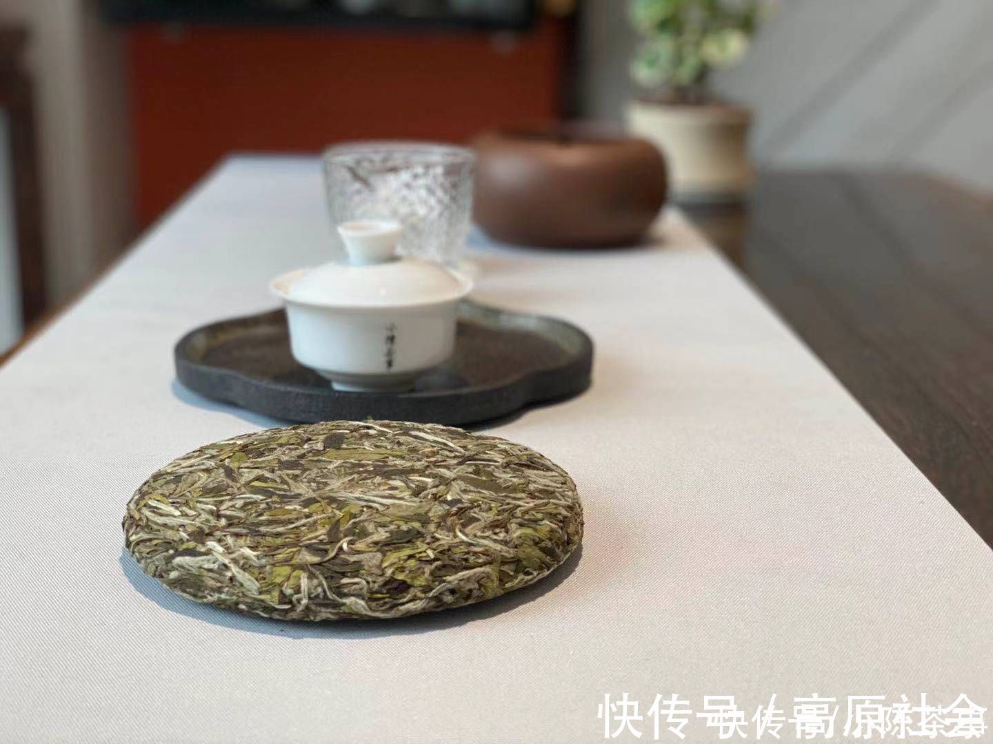 为什么白茶饼没有花香，老茶客提醒，牢记这3个细节，不会被忽悠