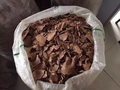 花生全身都是宝,丢在盆里,解决了太多养花难题!