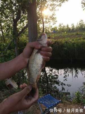 民间“钓泡法”钓鱼,鲫鱼多得让你吃不完