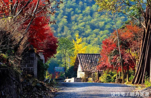 冬日|精品自驾路书在画里穿行，在云中漫步！自驾畅游“皖南318”川藏线