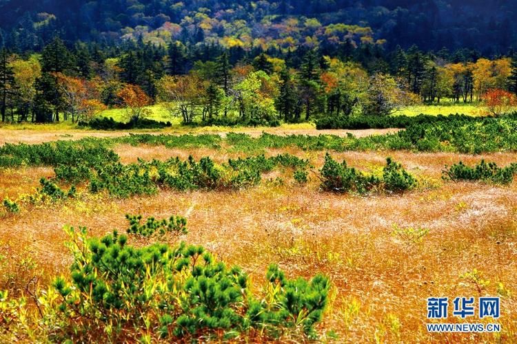 张民生|黑龙江凤凰山：山披五彩 云蒸霞蔚