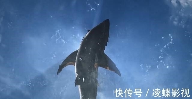 崩壞|《斗羅大陸》海神二考準備,唐三的臉又崩了,看到了魔魂大白鯊!