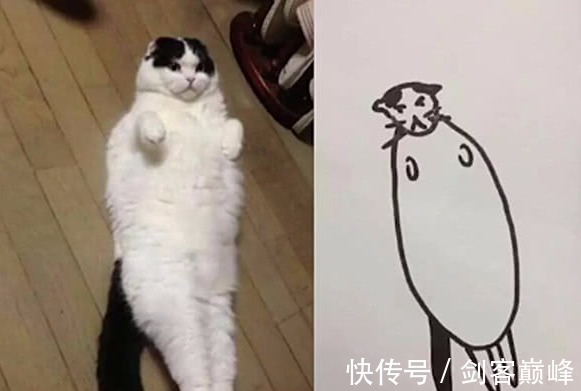 美术生!美术生画猫遭老师批评,可看到最后,老师抱歉,是我错怪你们了