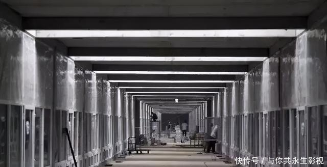 工作|男子放弃高薪工作，用八大菜系饲养蟑螂，如今每年凭此收入上亿