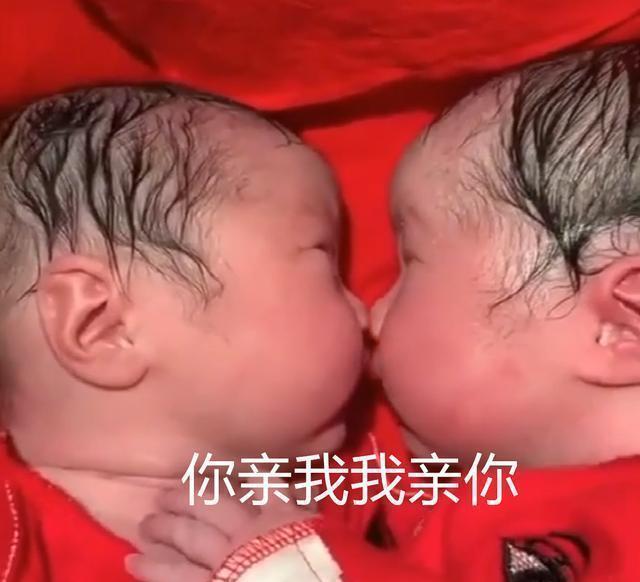 陪伴|龙凤胎兄妹刚出生就一直亲,护士刚分开,又抱到了一起,暖心