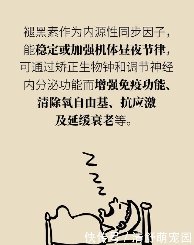 褪黑素|为啥失眠？因为不分泌褪黑素！为啥不分泌褪黑素？因为……