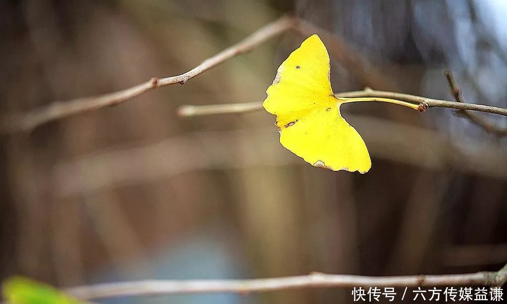 金溪|本周末，金溪这两个景点值得一看！