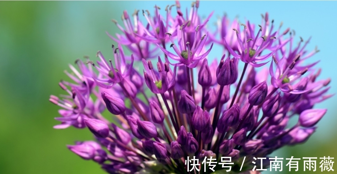 缘分|6月，缘分桃花碰撞，爱情如约而至，3生肖相知相恋，沉醉浮光岁月