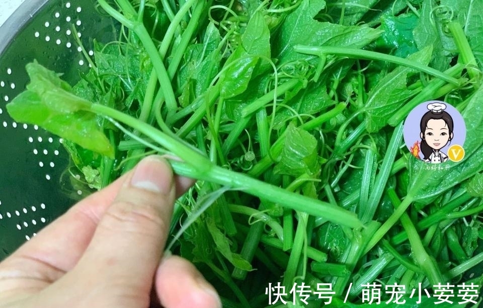雨婷|这菜南方人当宝，清脆清肠，北方人却当草，不懂吃可惜了