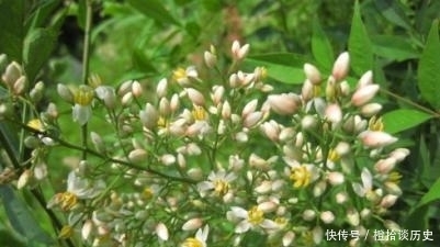 情寄流年,岁月自若安暖