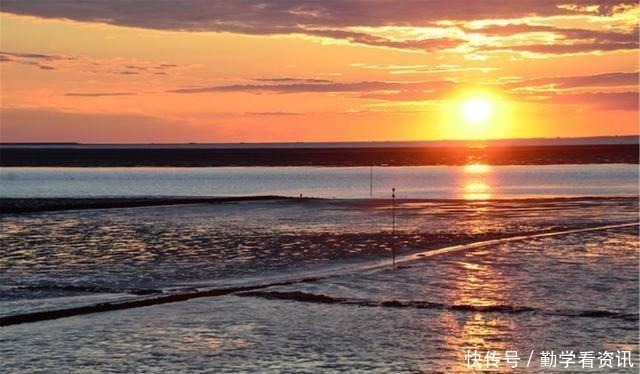 水草|大鲫鱼藏在哪这5个地方都是鱼窝，看你错过了多少鱼
