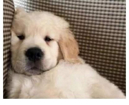 叶音|成为隔离期的许昕花流量也必看的综艺！街舞4什么水平？