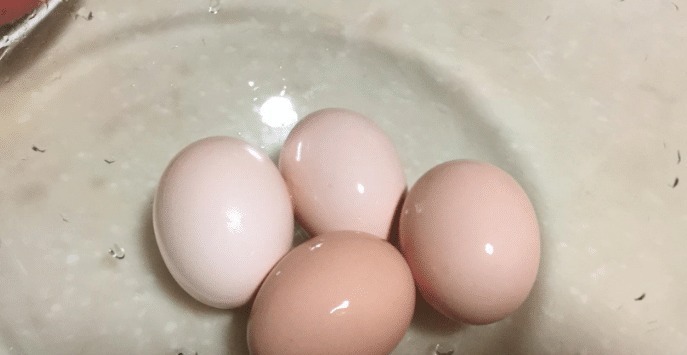 煮鸡蛋只用白水煮可不行，煮前多做一步，香嫩好吃，蛋壳特好剥