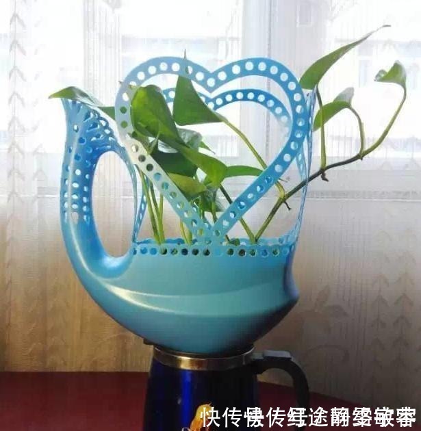 用完的洗衣液瓶千万别扔，它大有妙用！