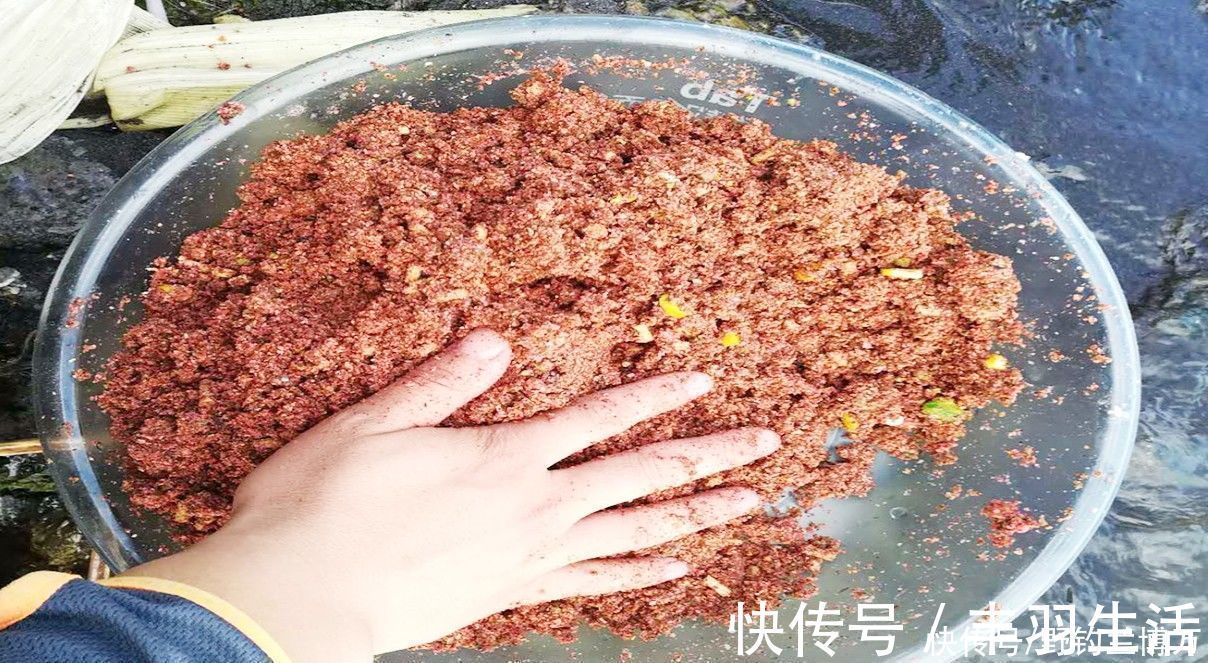 渔获|同样都是钓鱼，为何别人比你钓得多，秘密在这里