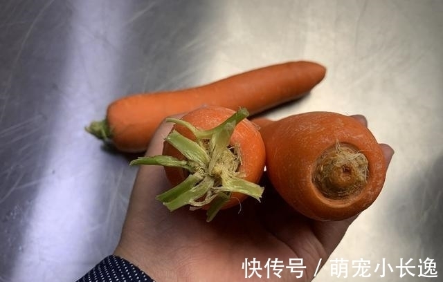 水分|街上卖的胡萝卜为什么那么干净？老菜农说漏了嘴，以后别瞎买了