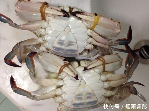 腹部|蒸螃蟹,用冷水还是热水?老渔民教你一招,不掉腿不流黄,没腥味