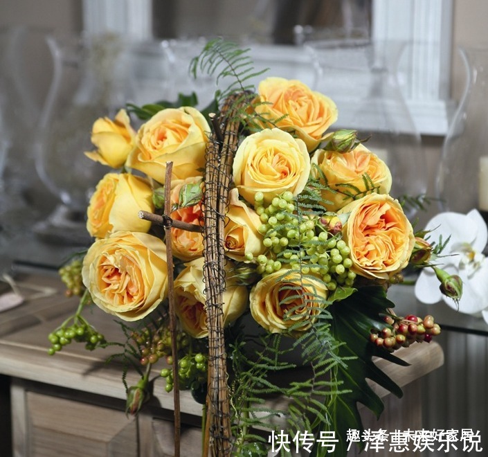 喜欢玫瑰,不如养“精品月季” 全球美人,金光灿烂,高端大气