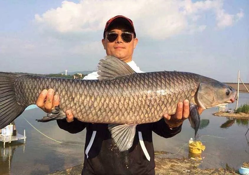 久钓不上鱼,想过什么原因吗?教你一招,轻松就搞定!