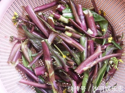 预防肠癌|人到中年,这三种食物离不开,消食开胃,越来越健康