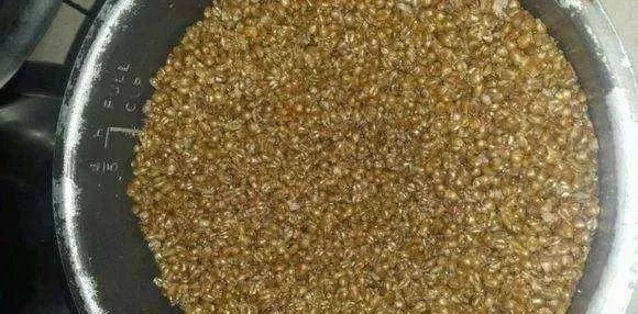 钓鱼最牛饵料失传40年:50米内狂聚,专治鲫鲤草,秒杀野战蓝鲫!