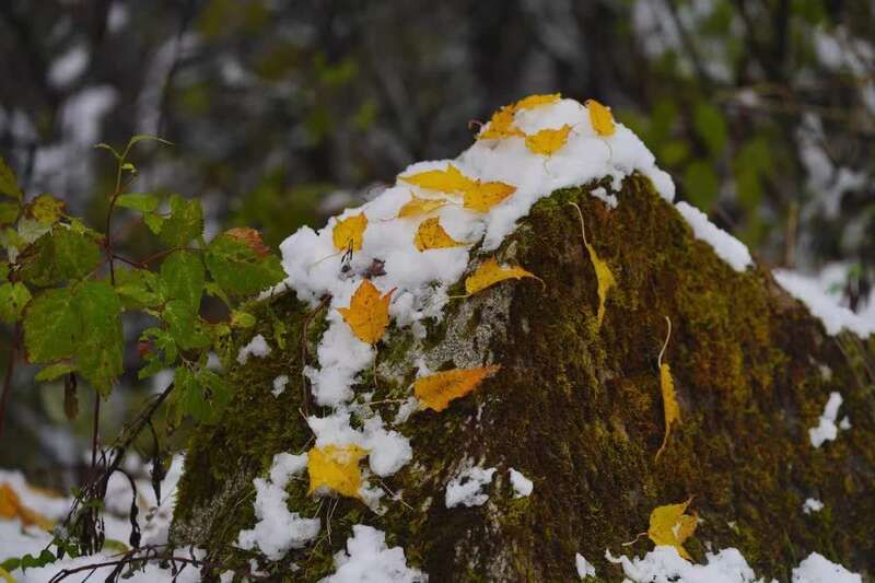 中国青年|陕西宁陕：深秋邂逅初雪 色彩斑斓美景如画