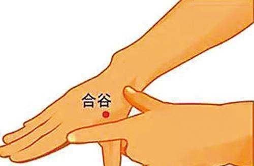 养生|养生不花钱8大防病、祛病穴,每天按一按,从头到脚都健康