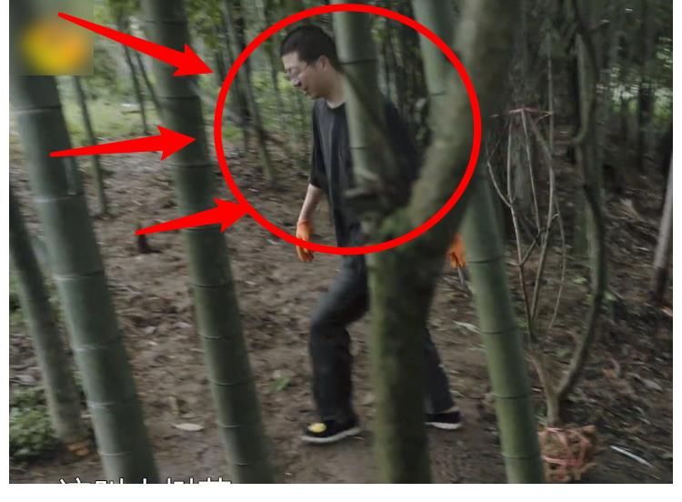 《向往5》節(jié)目組真敢請(qǐng)，把兩位最懶嘉賓放一起錄節(jié)目，熱鬧了！