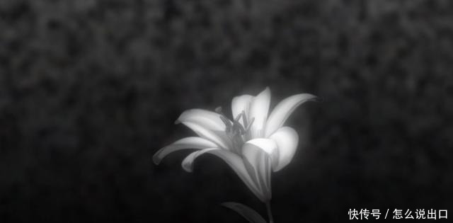 小时|20分钟动画看3小时!为何令我如此着迷全程高能预警!