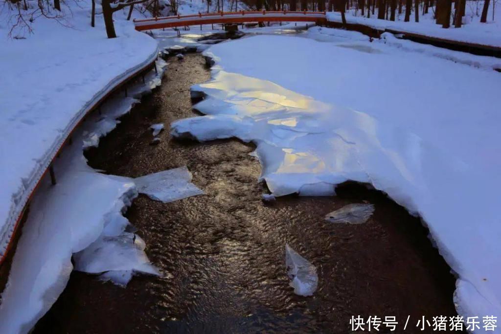 沉淀|入冬而不冻的奇观,来自“冰河”的叮咚优雅