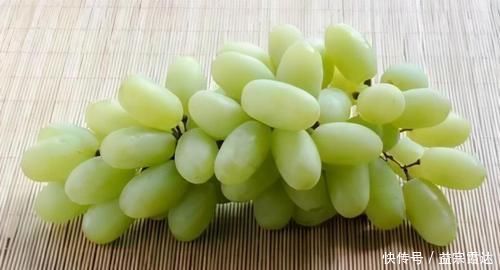 蛋黄|长寿老人最爱吃3种食物,补充营养、改善体质,好吃又健康!