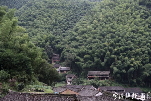 许家山村|宁波晚报丨奉化城区西南，有这样一座藏在公路尽头的小山村……