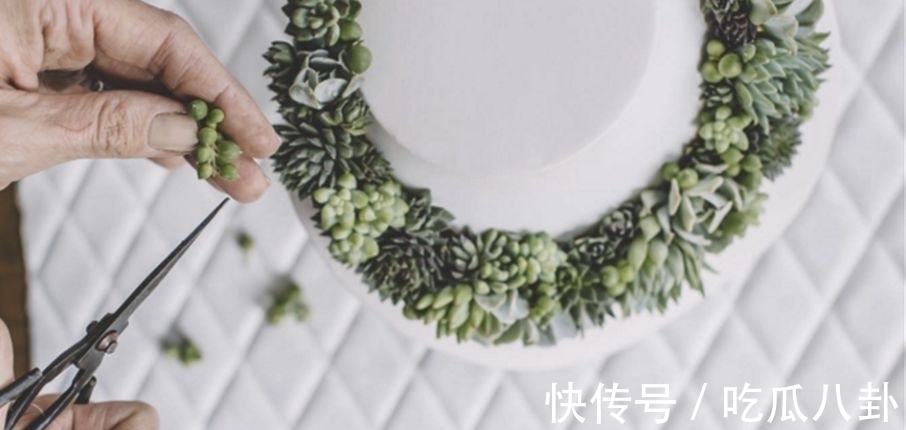 耳环#不是所有首饰都是珠宝的,多肉做成首饰,颜值完全秒杀大牌首饰!