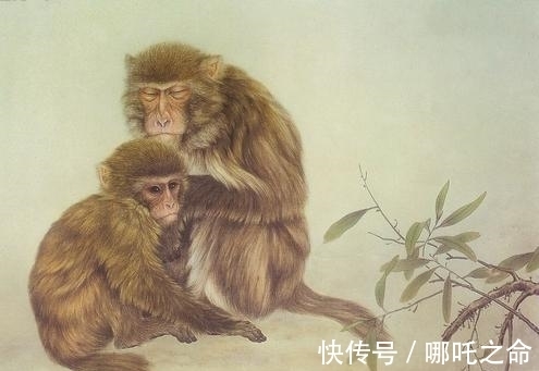 人财|一过40岁,注定翻身成富翁,人财两旺,福禄双全的3大生肖!