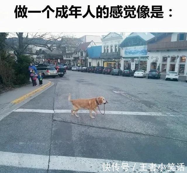 |「被窝段子0925」发脾气 只表示您的智慧不足以解决您所面临的问题