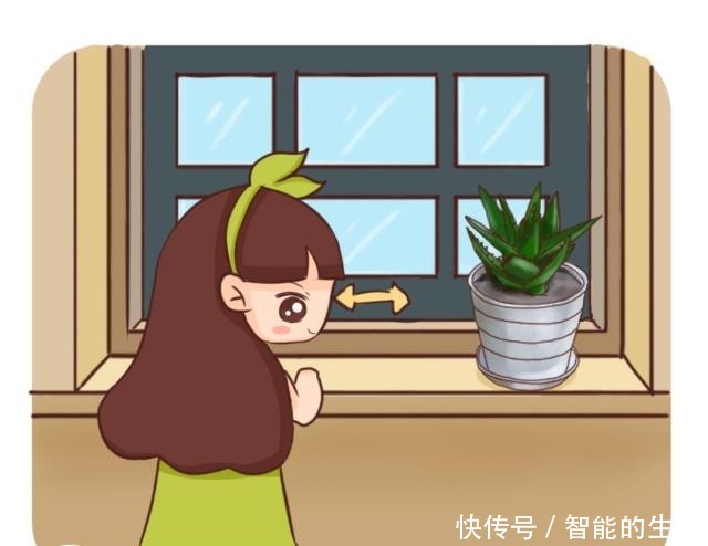 5种吸油烟的植物,放在厨房里,吸油烟除异味!