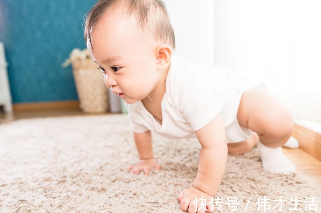 条件|七八个月的宝宝适合学站吗？满足两个条件，家长就可以开始尝试了
