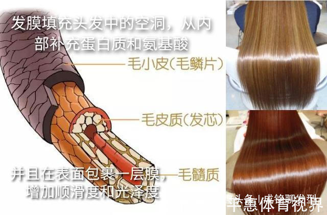 护发素|护发素和发膜不是一回事,用错效果大打折扣,发型师教你正确护发