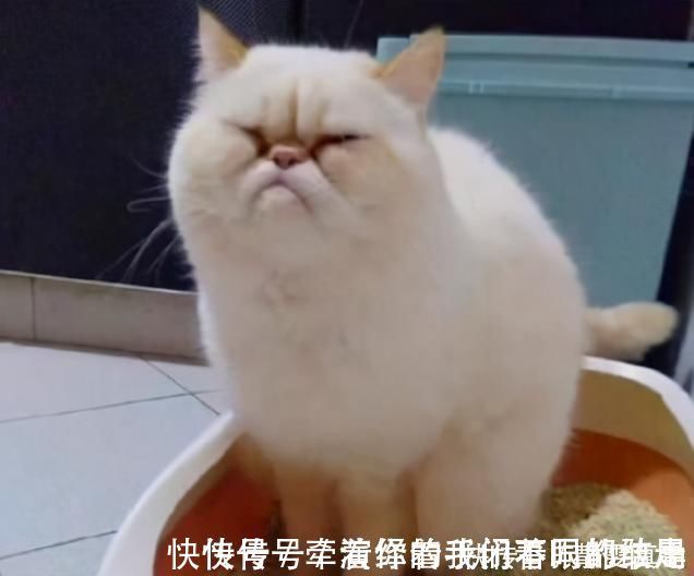 排便困难|三明一大爷便秘1周,竟用筷子捅直肠10公分,差点送命!