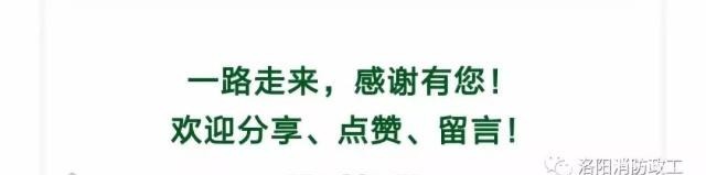 「荐读」你我的故事大树之恩