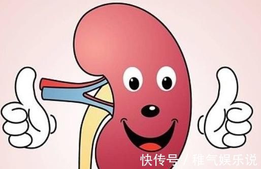 环节|肾功能“较差”,常伴10类征兆,教你护肾从4个环节“入手”!