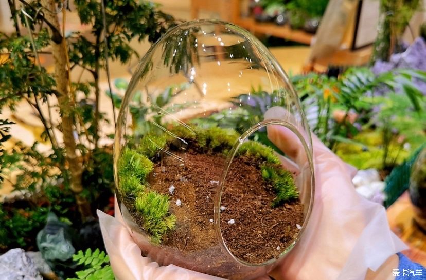 冬天的峨眉一个童话般的冰雪世界，真是美不胜收