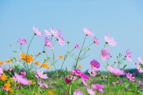 喜多财旺|未来3个月，4属相喜多财旺，五福临门，财多福旺，喜事不断