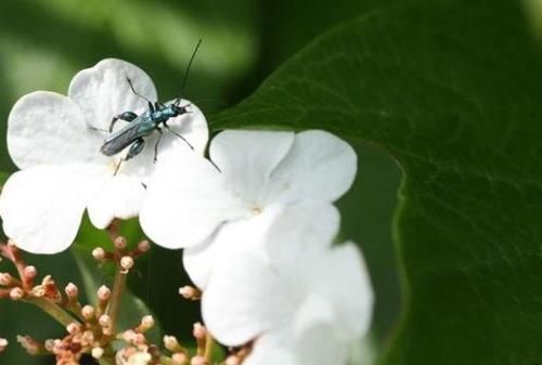 体重|夏天是最佳减肥时节，你的体重为什么不降反升？答案在自己身上！