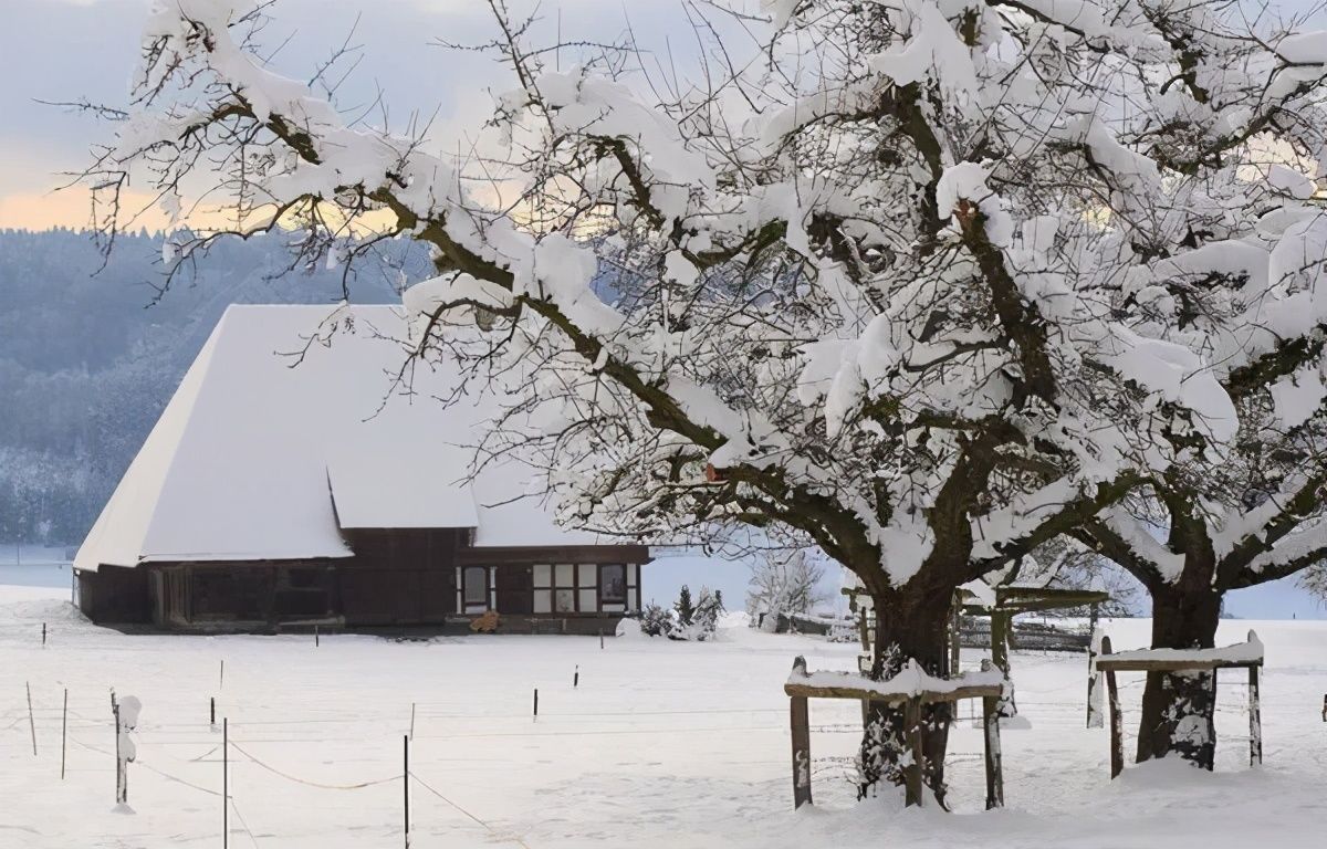 浪漫|煮雪烹茶，听雪敲竹……古人的冬天也浪漫？