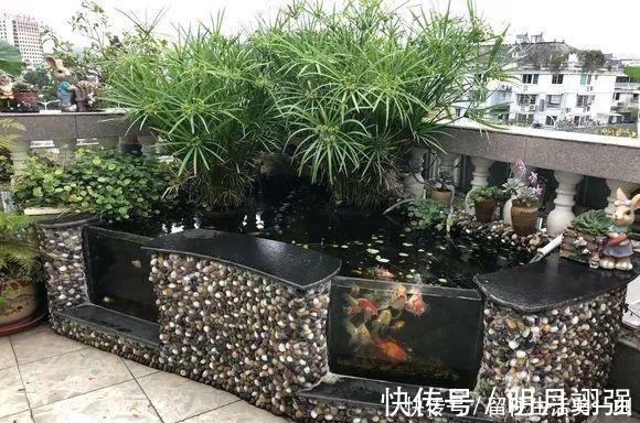 马蹄莲|4种花“嗜水如命”，一刻也不能断水，缺了就蔫，看看你家有吗！