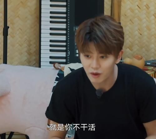 扎心|任嘉伦上《向往》变身“怼王”,句句扎心谭松韵,气得她成表情包