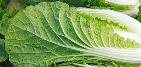 害怕身体衰老,推荐吃的食物,预防痛风,通乳散结,活血化瘀