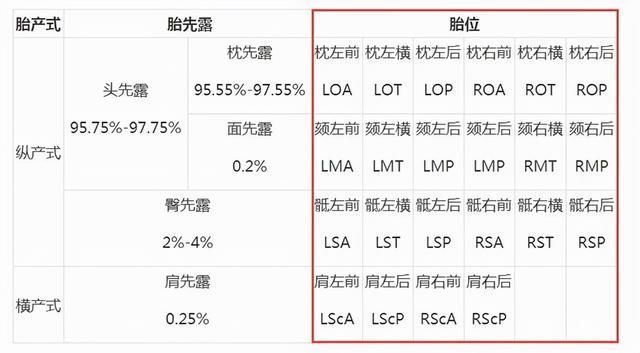 胎儿|到了这个孕周,胎儿“胎位”基本固定,以后再纠正就难了